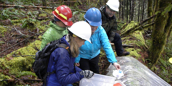 Teachers as Researchers in forest